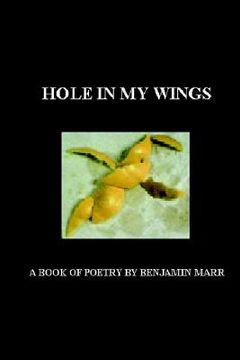 portada hole in my wings (in English)