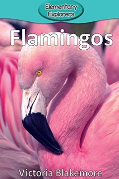 portada Flamingos (Elementary Explorers) (en Inglés)