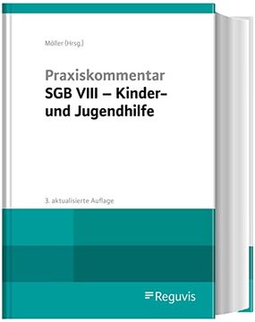 portada Praxiskommentar sgb Viii? Kinder- und Jugendhilfe (in German)