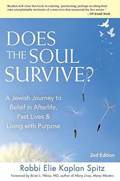 portada Does the Soul Survive? (2nd Edition): A Jewish Journey to Belief in Afterlife, Past Lives & Living with Purpose (in English)