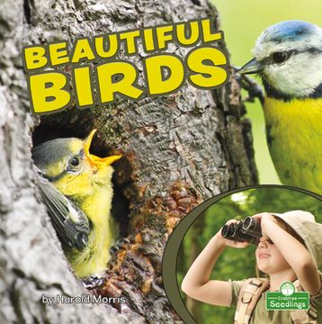 portada Beautiful Birds (Backyard Science) (en Inglés)