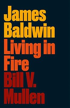 portada James Baldwin: Living in Fire (Revolutionary Lives) 