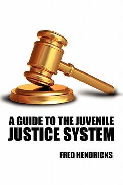 portada a guide to the juvenile justice system