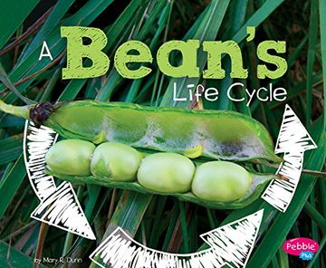 portada A Bean's Life Cycle (Explore Life Cycles)
