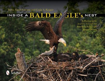 portada Inside a Bald Eagle's Nest: A Photographic Journey Through the American Bald Eagle Nesting Season
