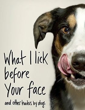 portada What i Lick Before Your Face. And Other Haikus by Dogs (in English)