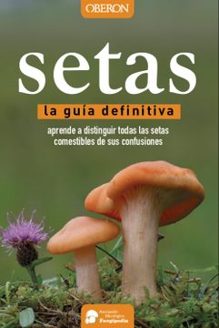 portada Setas. La Guía Definitiva (Edición 17 de Marzo de 2016) (in Spanish)