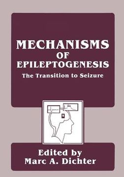 portada Mechanisms of Epileptogenesis: The Transition to Seizure (in English)