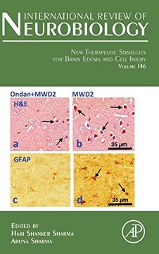 portada New Therapeutic Strategies for Brain Edema and Cell Injury, Volume 146 (International Review of Neurobiology) (en Inglés)