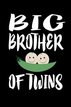 portada Big Brother Of Twins: Family Collection (en Inglés)