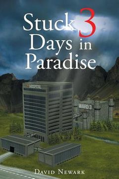 portada Stuck 3 Days In Paradise (in English)