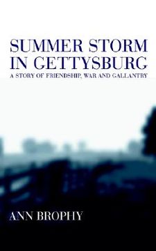 portada summer storm in gettysburg: a story of friendship, war, and galantry (en Inglés)