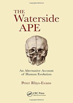portada The Waterside Ape: An Alternative Account of Human Evolution 