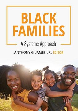 portada Black Families: A Systems Approach (en Inglés)