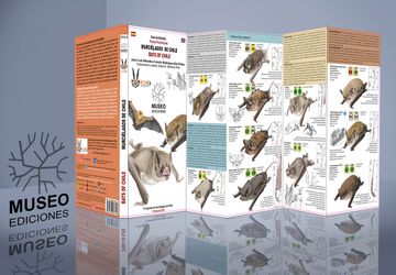 Murciélagos de Chile / Bats of Chile