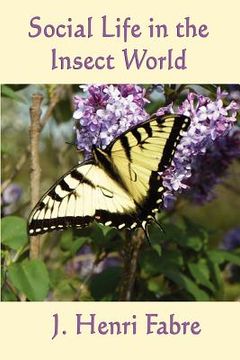 portada social life in the insect world