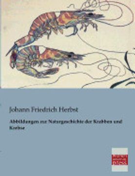 portada Abbildungen zur Naturgeschichte der Krabben und Krebse (en Alemán)