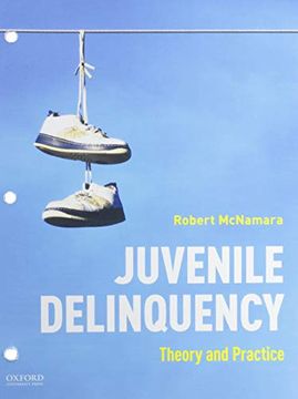 portada Juvenile Delinquency: Theory to Practice (in English)