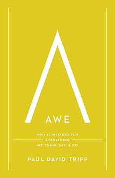 portada Awe: Why It Matters for Everything We Think, Say, and Do