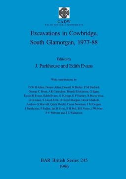 portada Excavations in Cowbridge, South Glamorgan, 1977-1988 (245) (British Archaeological Reports British Series) (en Inglés)