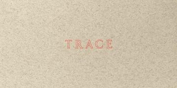 portada Jenny Holzer: Trace (en Inglés)