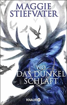 portada Wo das Dunkel Schläft (Raven Boys, Band 4) (in German)