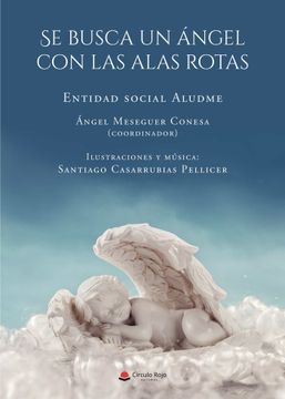 portada Se Busca un Angel con las Alas Rotas (in Spanish)