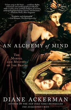 portada An Alchemy of Mind: The Marvel and Mystery of the Brain (in English)