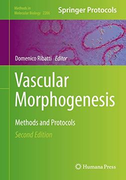 portada Vascular Morphogenesis: Methods and Protocols (Methods in Molecular Biology, 2206) (en Inglés)