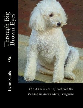 portada Through Big Brown Eyes: The adventures of Gabriel the poodle in Alexandria, Virginia (1) (Volume 1)