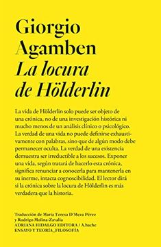 portada La Locura de Holderlin (in Spanish)
