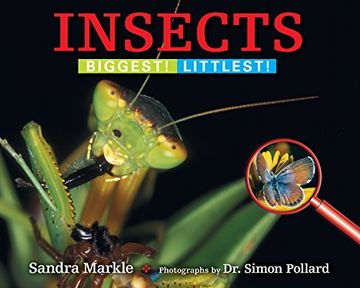 portada Insects: Biggest! Littlest! (in English)