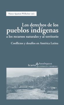 portada Los Derechos de los Pueblos Indígenas a los Recursos Naturales y al Territorio: Conflictos y Desafíos en América Latina (in Spanish)