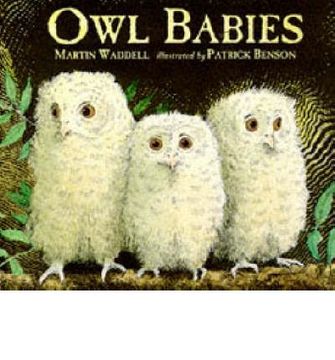 portada owl babies (infantil-cartone)./candlewick