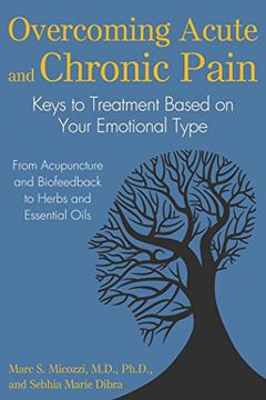 portada Overcoming Acute and Chronic Pain: Keys to Treatment Based on Your Emotional Type
