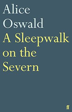 portada Sleepwalk on the Severn (en Inglés)