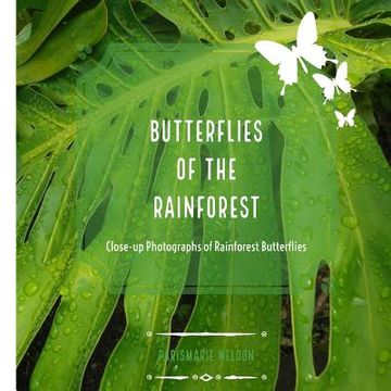 portada Butterflies of the Rainforest