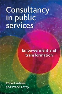 portada consultancy in public services