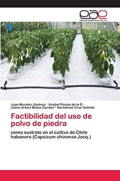 portada Factibilidad del uso de Polvo de Piedra: Como Sustrato en el Cultivo de Chile Habanero (Capsicum Chinense Jacq. )