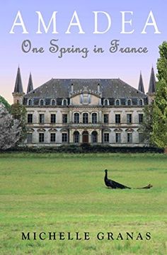 portada Amadea: One Spring in France