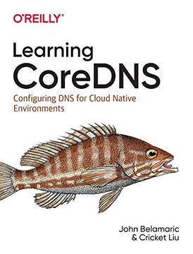 portada Learning Coredns: Configuring dns for Cloud Native Environments (en Inglés)