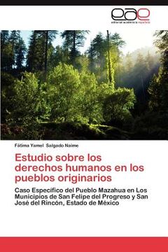 portada estudio sobre los derechos humanos en los pueblos originarios (in Spanish)
