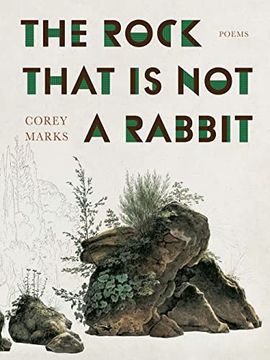 portada The Rock That is not a Rabbit: Poems (Pitt Poetry Series) (in English)