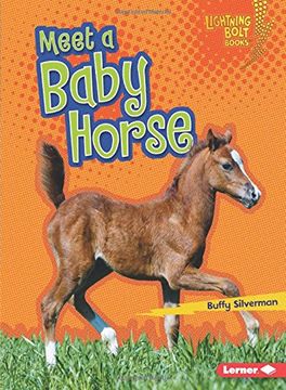 portada Meet a Baby Horse (Lightning Bolt Books)
