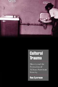 portada Cultural Trauma: Slavery and the Formation of African American Identity (Cambridge Cultural Social Studies) 