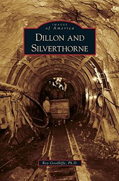 portada Dillon and Silverthorne (en Inglés)