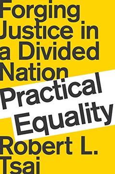 portada Practical Equality: Forging Justice in a Divided Nation (en Inglés)