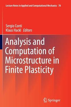 portada Analysis and Computation of Microstructure in Finite Plasticity (in English)