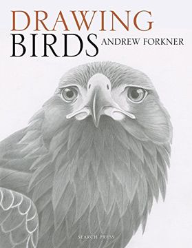 portada Drawing Birds (in English)