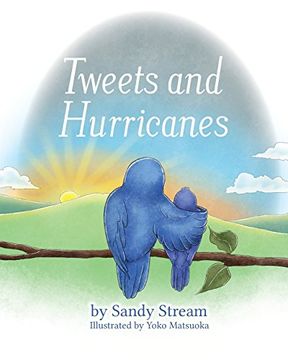 portada Tweets and Hurricanes (River Series)